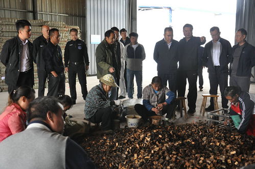 州委書記桑維亮赴鎮(zhèn)遠(yuǎn)縣氵舞陽(yáng)鎮(zhèn)調(diào)研林下經(jīng)濟(jì)天麻產(chǎn)業(yè)